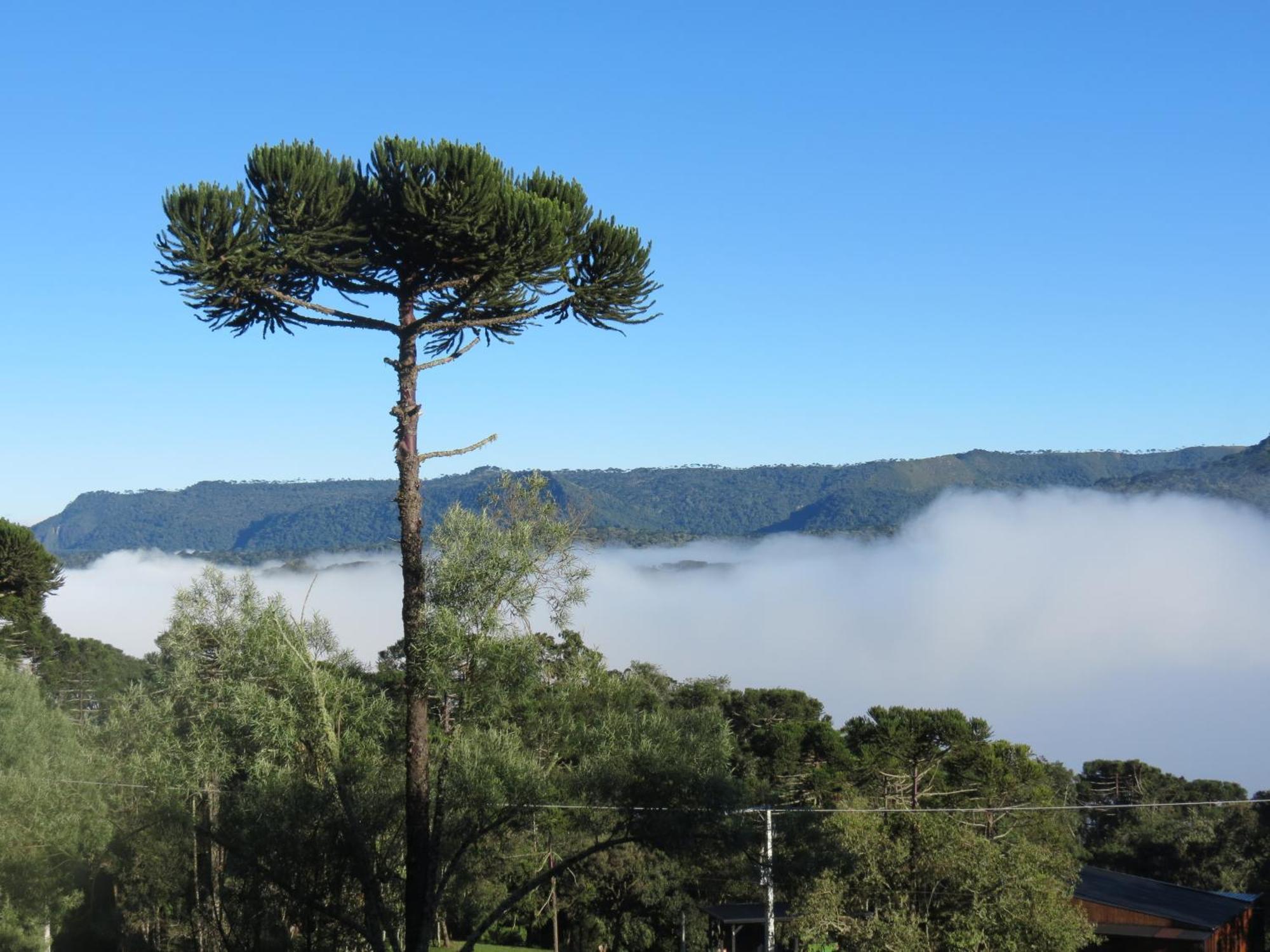 Refugio Da Montanha Villa Urubici Dış mekan fotoğraf